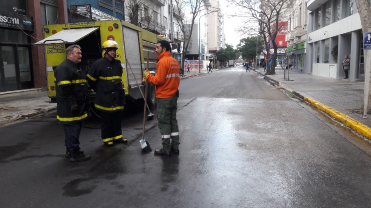 Cortan el tránsito por la caca de las palomas