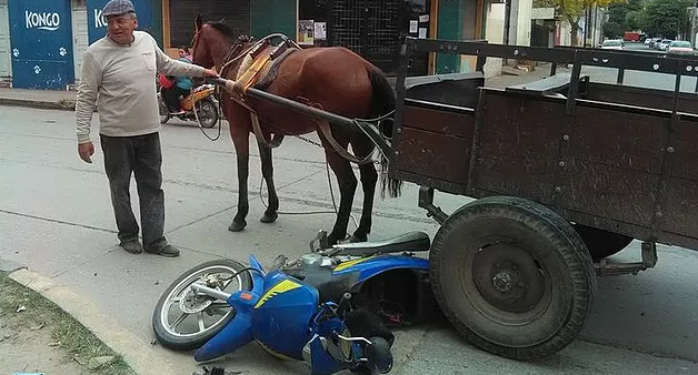  Un accidente reavivó la polémica por los carros tracción a sangre en la ciudad