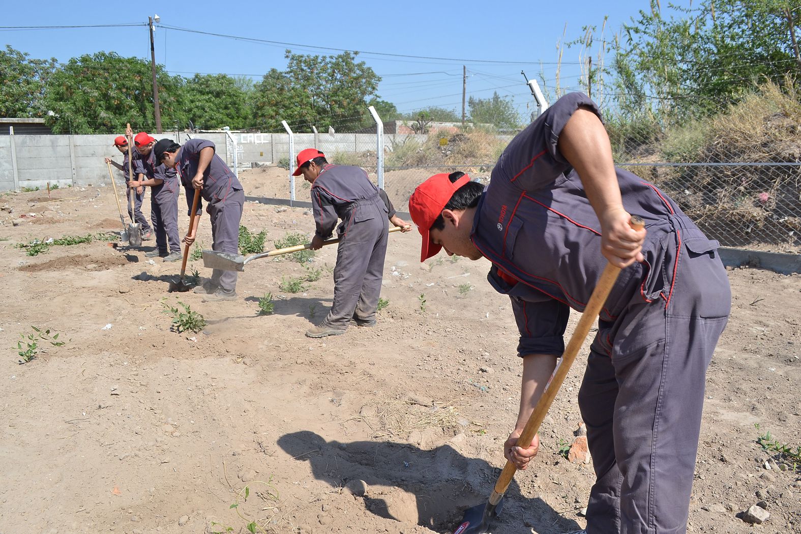 Concesionario  de Toyota planta árboles en Santiago del Estero